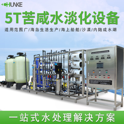 5T/H 苦咸水淡化设备